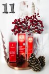 Kleidermaedchen Modeblog Fashionblog, Beautyblog, Lifestyleblog, Erfurt und Berlin, Kleidermaedchen Adventskalender 2016, Gewinnspiel, Verlosung, Xmas, Weihnachten, die schönsten Adventskalender, kleidermaedchen.de, Influencer Marketing und Kommunikation, Weihnachtsgewinnspiel, Weleda, Weleda Granatapfel