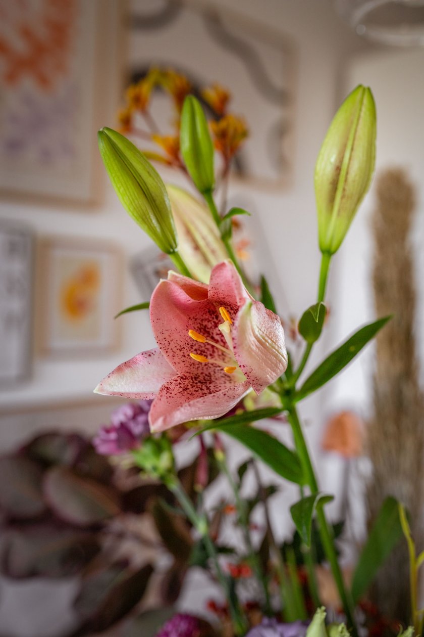 Wohnzimmer im Retro Style mit Blumen. Blumen versenden und Blumenabo Erfahrungsbericht. | www.kleidermaedchen.de