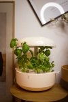 Mit Plantui Smart Garden 6 entsteht ein Indoorgarten der ganz besonderen Art. Erfahrungsbericht über Smart Garden 6 von Plantui. | www.kleidermaedchen.de