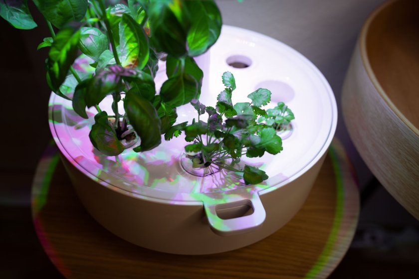 Mit Plantui Smart Garden 6 entsteht ein Indoorgarten der ganz besonderen Art. Erfahrungsbericht über Smart Garden 6 von Plantui. | www.kleidermaedchen.de