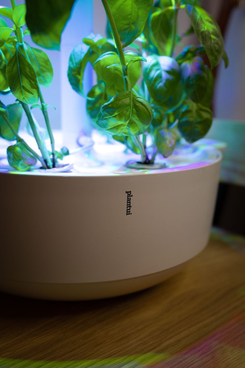 Mit Plantui Smart Garden 6 entsteht ein Indoorgarten der ganz besonderen Art. Erfahrungsbericht über Smart Garden 6 von Plantui. | www.kleidermaedchen.de