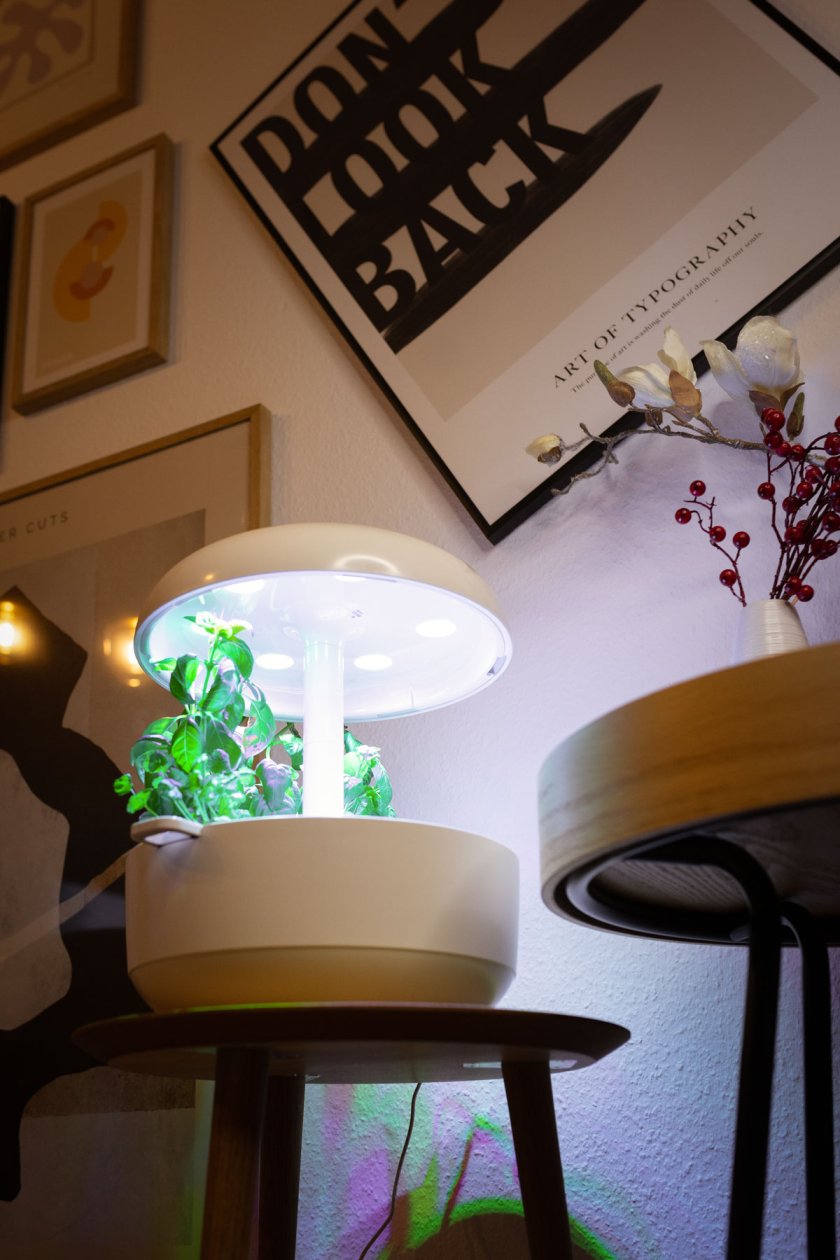 Mit Plantui Smart Garden 6 entsteht ein Indoorgarten der ganz besonderen Art. Erfahrungsbericht über Smart Garden 6 von Plantui. | www.kleidermaedchen.de