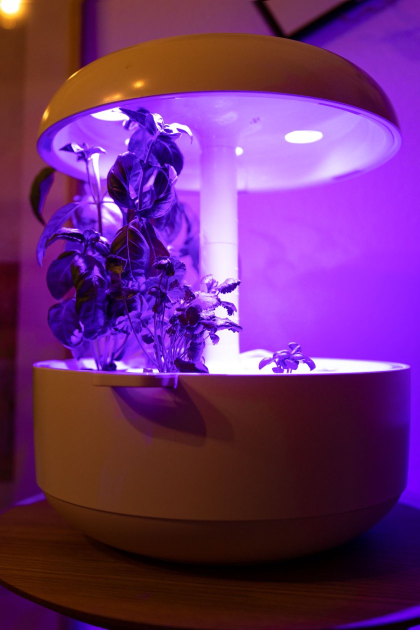 Mit Plantui Smart Garden 6 entsteht ein Indoorgarten der ganz besonderen Art. Erfahrungsbericht über Smart Garden 6 von Plantui. | www.kleidermaedchen.de