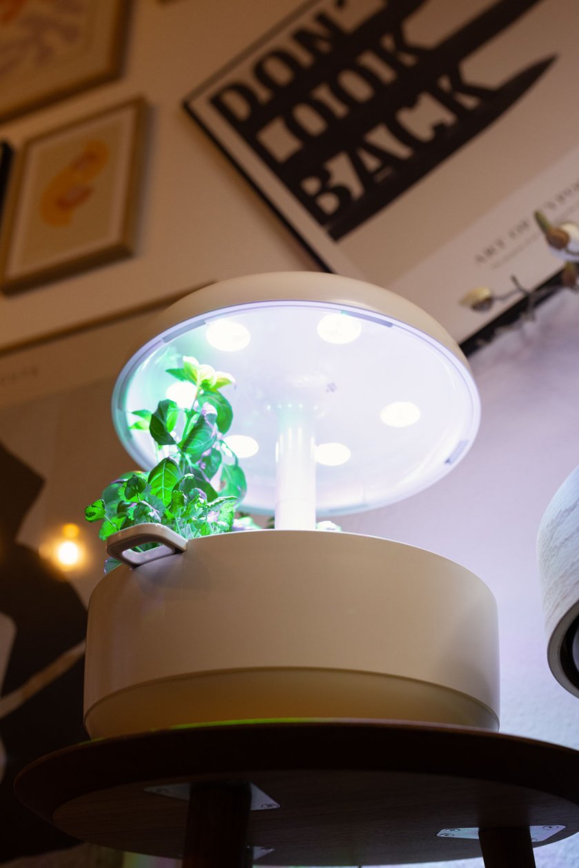 Mit Plantui Smart Garden 6 entsteht ein Indoorgarten der ganz besonderen Art. Erfahrungsbericht über Smart Garden 6 von Plantui. | www.kleidermaedchen.de