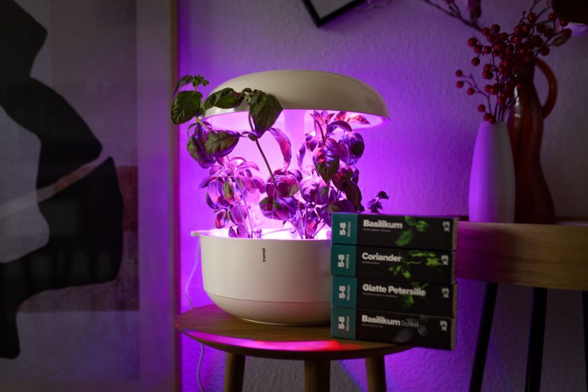 Mit Plantui Smart Garden 6 entsteht ein Indoorgarten der ganz besonderen Art. Erfahrungsbericht über Smart Garden 6 von Plantui. | www.kleidermaedchen.de