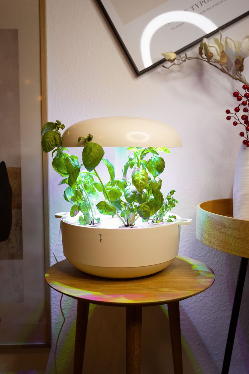 Mit Plantui Smart Garden 6 entsteht ein Indoorgarten der ganz besonderen Art. Erfahrungsbericht über Smart Garden 6 von Plantui. | www.kleidermaedchen.de