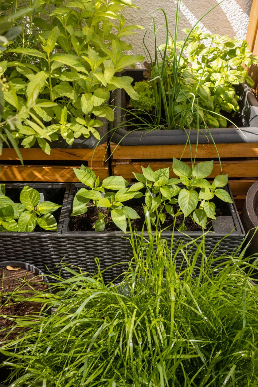 Kleinen Balkon gestalten mit platzsparenden Möbeln sowie einen Gemüsegarten. Auf dem Interiorblog zeige ich dir, wie ich meinen Balkon eingerichtet habe. | www.kleidermaedchen.de