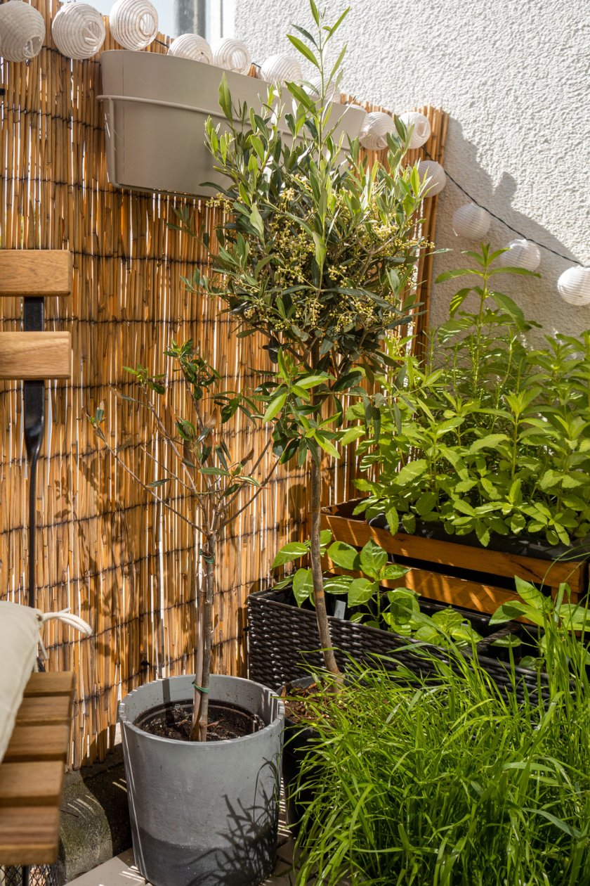 Kleinen Balkon gestalten mit platzsparenden Möbeln sowie einen Gemüsegarten. Auf dem Interiorblog zeige ich dir, wie ich meinen Balkon eingerichtet habe. | www.kleidermaedchen.de